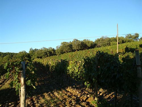 Agriturismo Il Villino Fonterutoli Εξωτερικό φωτογραφία