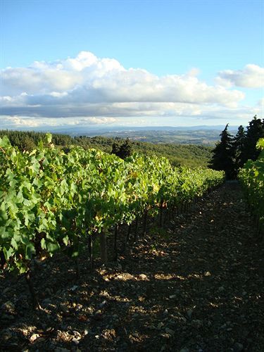 Agriturismo Il Villino Fonterutoli Εξωτερικό φωτογραφία